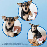 Best Pet Supplies Pet Wipes for Dogs, Hydrating and Deodorizing, Safe and Non-Sticky, 1 Count