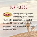 Cadet Stuffed Shin Bone, Long-Lasting Dog Chew Bones for Aggressive Chewers, High Protein Filled Bone Dental Chew for Dogs, Peanut Butter Flavor Filling, 5-6" for Large Dogs