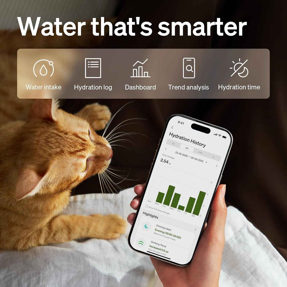 petlibro stainless steel cat water fountain with 5g wifi app monitoring for indoor use