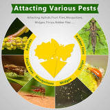 landisun 48pcs yellow fruit fly sticky traps for indoor outdoor potted plants bug insects