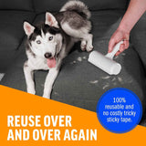 ChomChom roller pet hair remover and reusable lint roller for cat and dog hair removal on furniture, couch, carpet, clothing and bedding