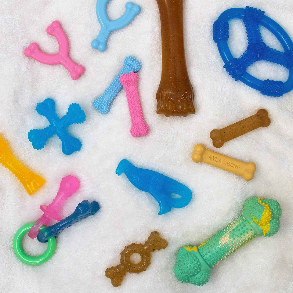 Nylabone Ring Bone Chew Toy for Puppies, Puppy Teething Toys, Puppy Enrichment Toys, Chicken Flavor, X-Small Dogs - Up to 15 lbs, 1 Count