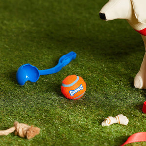 Chuckit! Dog Ball Launcher - Sport 12" with Medium (2.5"), Dog Fetch Ball Thrower, For Dogs 20-60 Pounds, Made in USA