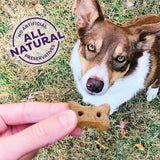 Old Mother Hubbard Wellness P-Nuttier Dog Biscuits, Natural, Training Treats, Peanut Butter Flavor, Mini Size, (6 Pound Box)