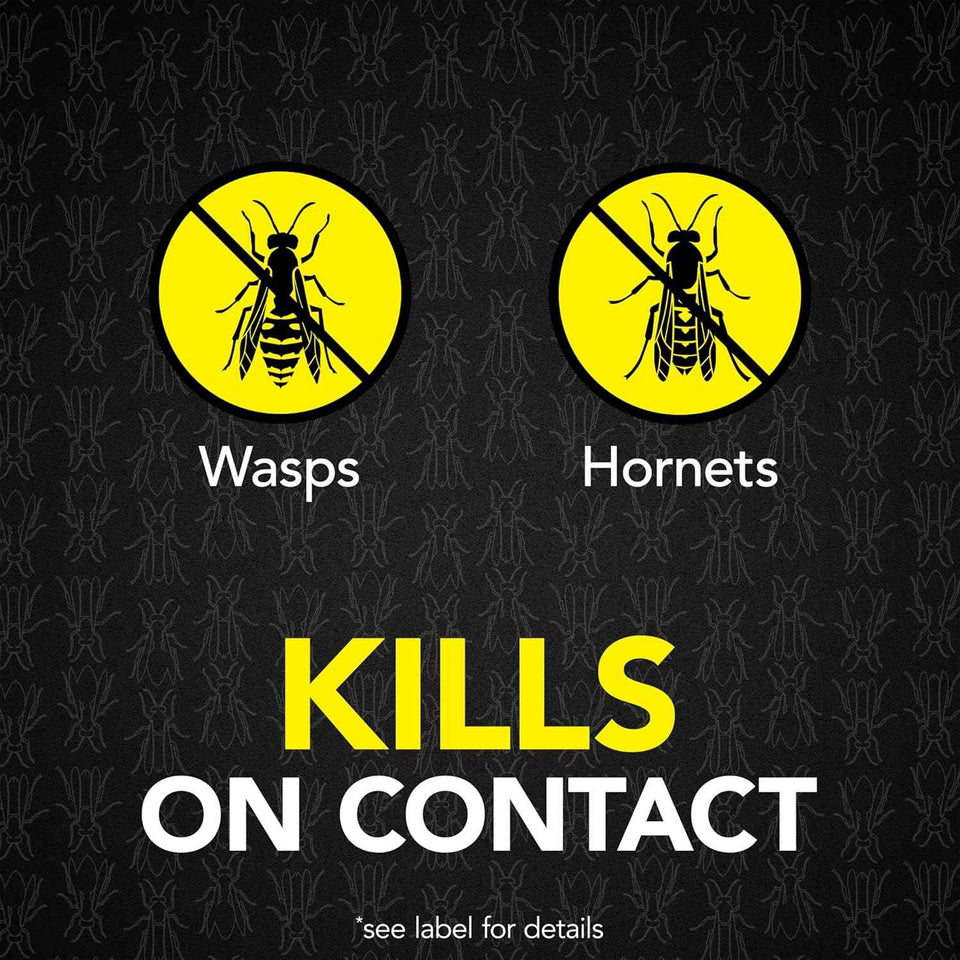 Raid Max Foaming Wasp & Hornet Killer, Fast Coverage Foam, Bug Killer Kills The Entire Nest, 16.5 oz