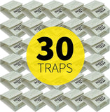 s t inc 30 count glue traps for brown recluse hobo spiders black widows home basement garage pest control