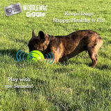 Wobble Wag Giggle Ball | Rolling Enrichment Toy for Fun Playtime, Interactive Play for Indoor or Outdoor, Keeps Dogs & Puppies Large, Medium or Small Busy & Moving, As Seen on TV | Pack of 1