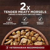 purity-one-true-instinct-turkey-venison-dry-dog-food-36-lb-bag