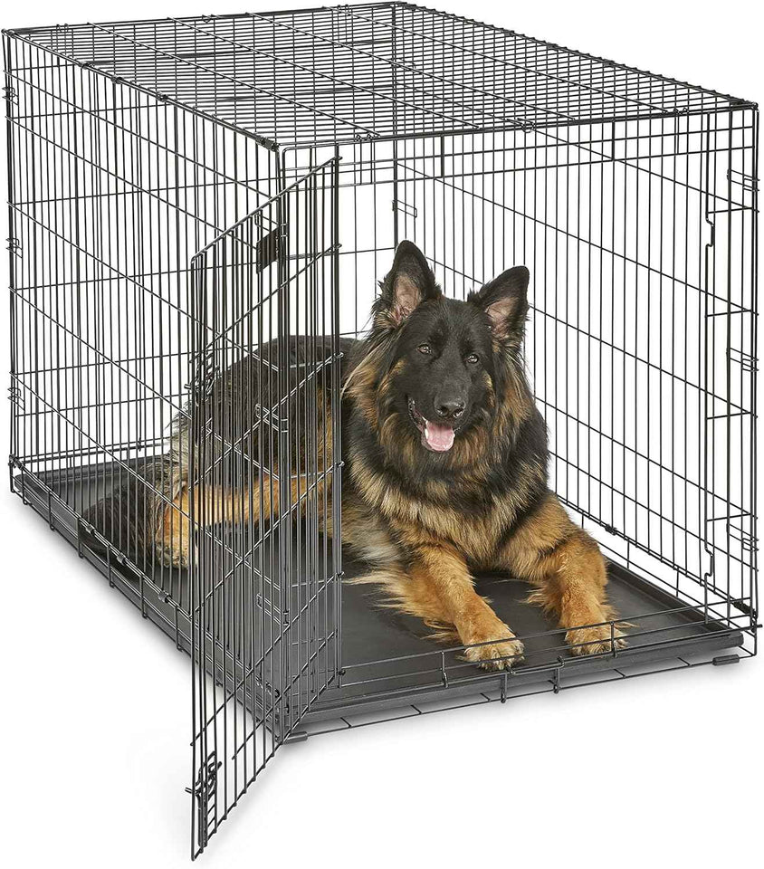 MidWest Homes for Pets 36-Inch iCrate Folding Dog Crate with Divider Panel, Leak-Proof Tray & Secure Latches – Metal Wire Kennel for Medium Large Breeds – Portable, Durable & Easy to Assemble