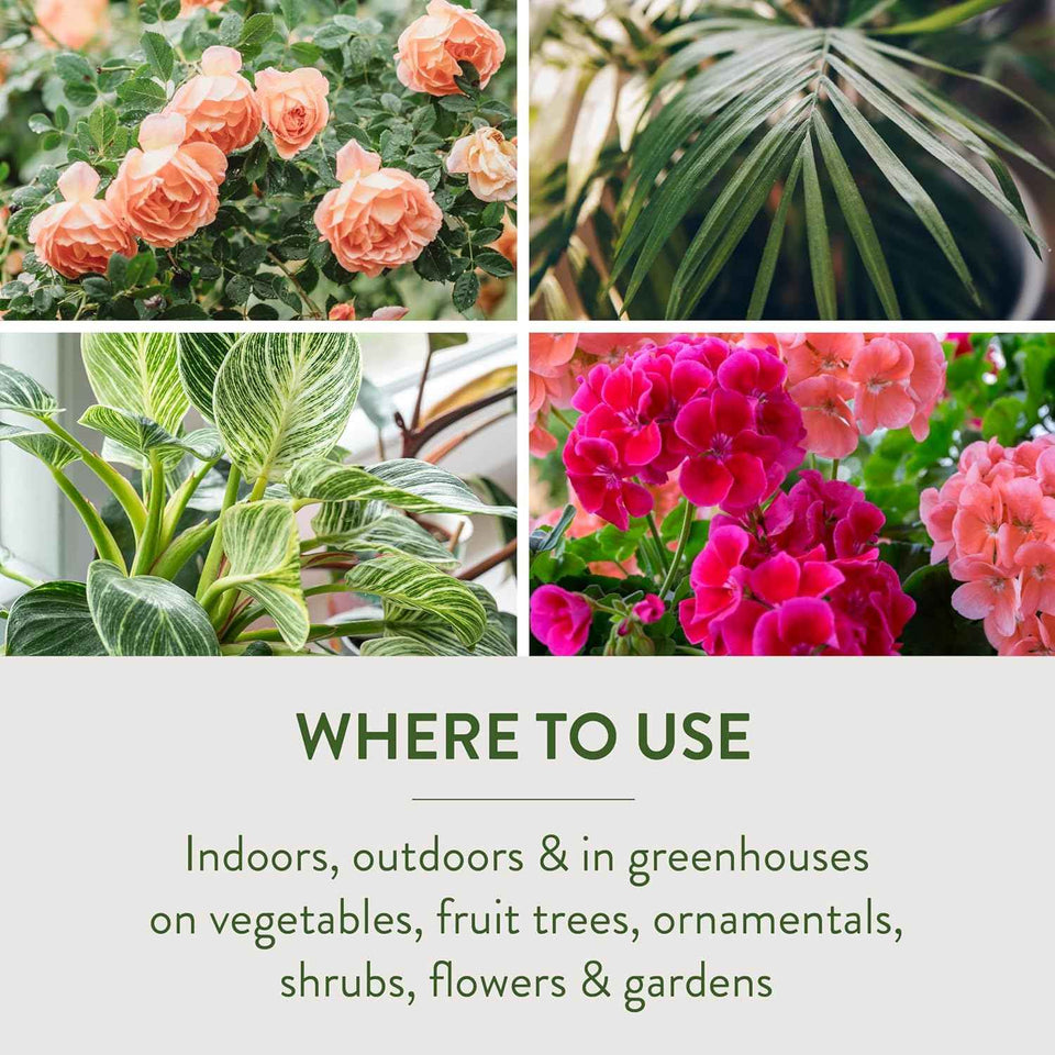 Garden Safe 32 oz. insecticidal soap for indoor and outdoor pest control of aphids and more
