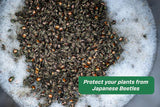 RESCUE! Japanese Beetle Trap – Reusable Bag - 2 Traps